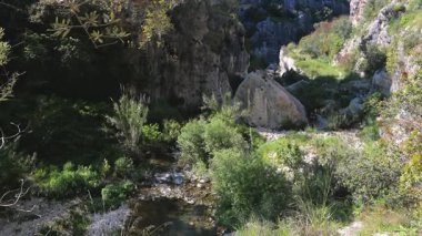 Küçük dereler yoğun bitki örtüsü, kayalıklar ve güneş ışığı altında büyük kayalar ve kısmi gölgelerle çevrili kayalık bir geçitten akar..
