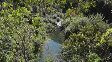 Dar, berrak bir dere, yüksek bir perspektiften çekilen kayalarla ve gölgeli alanlarla yoğun yeşil bitki örtüsünün içinden akar..