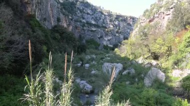 Dikey uçurum duvarları, yoğun bitki örtüsü dağınık kayalar ve yeşil kanyon zemininden akan küçük bir dere..