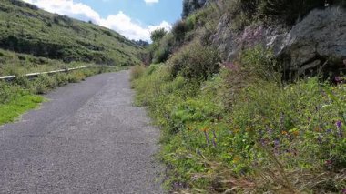 Yaban çiçekleri, kayalık çıkıntılar, metal korkuluklar ve canlı bahar bitkileriyle dolu asfalt bir tepe boyunca kıvrımlı bir yol uzanır..