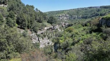 Pantalica 'daki engebeli bir kanyona bakın. Yoğun yeşil bitki örtüsü, çam ağaçları ve açık mavi gökyüzünün altındaki kayalık çıkıntılarla kaplı..