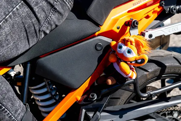 Reggio Calabria - Kalabrien - 05-18-2025: Yolcu koltuğunun altında turuncu motosiklet iskeletine takılmış doldurulmuş hayvan. Anlasselich des Seçkin Beyefendiler Binişi