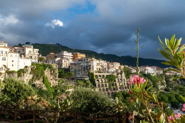 Tropea - Kalabrien - İtalya - 05-29-2025: İtalya 'nın Calabria kentindeki Tropea kentinin manzarası, dramatik gökyüzü ve ön plandaki çiçeklerin altında tarihi uçurum kenarındaki binalar.