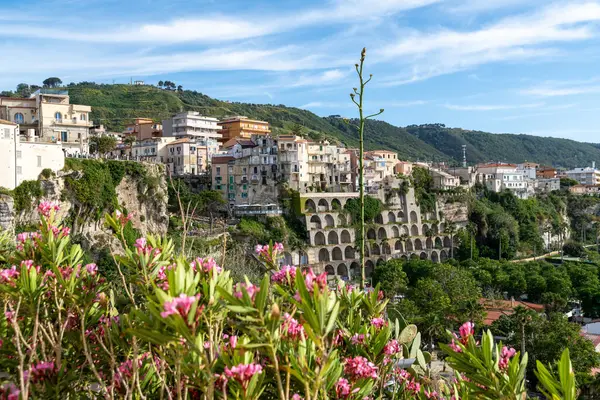 Tropea - Kalabrien - İtalya - 05-30-2025: İtalya 'nın Calabria kentindeki Tropea kayalıklarındaki konut binaları yeşil tepeler ve ön planda çiçek açan zakkumlarla çevrili.