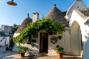 Alberobello - Apulien - İtalya - 06-25-2025: Konik çatıları ve girişi yeşil sarmaşıklı beyaz taş ev, Alberobello 'da parlak güneş ışığında saksı bitkileriyle çevrili.