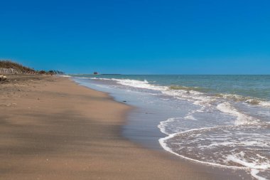 Yumuşak dalgalar kıyıya yaklaşır geniş, boş kumlu bir sahilde berrak mavi gökyüzü ve dağınık bitki örtüsü çerçevenin sol kenarı boyunca.