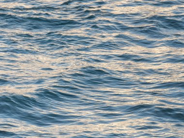 Okyanus sahnesi, yumuşak dalgaların kıyıya vurduğu sıcak akşam ışığı altında huzurlu bir yaz gününün özünü yakalıyor.