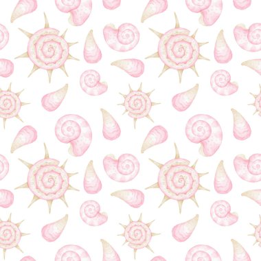 Pembe deniz kabukları. Tekstil ve ambalaj kağıdı için beyaz arka planda tatlı suluboya deseni. Su altı dünyası