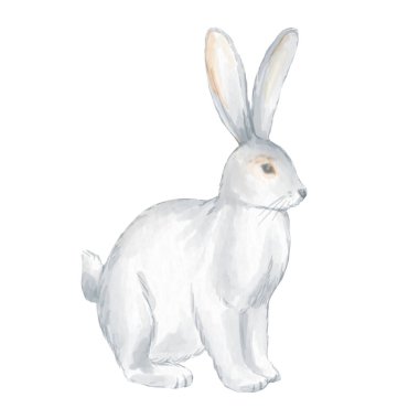 Gri tavşan. Tekstil ve ambalaj kağıdı için beyaz arka planda tatlı suluboya çizimi. Sevimli hayvan çizimi