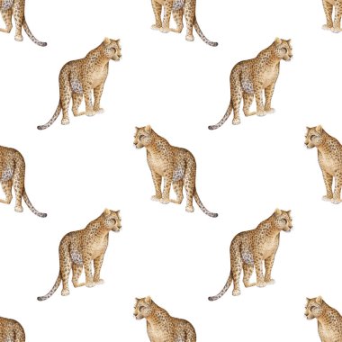 Leopar. Tekstil ve ambalaj kağıtları için sevimli hayvanlarla suluboya desenli.