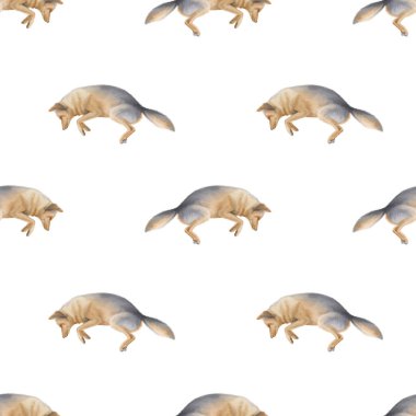 Çakallar. Tekstil ve ambalaj kağıdı için beyaz zemin üzerinde suluboya desensiz desen. Vahşi hayvanlarla tatlı suluboya çizimler.