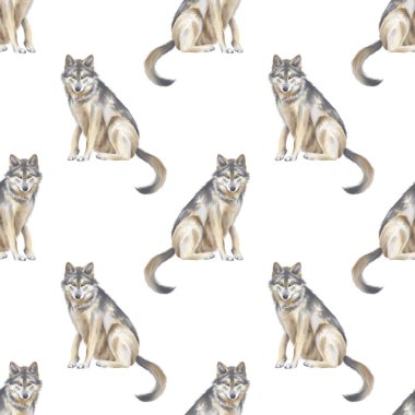 Kurt. Tekstil ve ambalaj kağıdı için beyaz zemin üzerinde suluboya desensiz desen. Vahşi hayvanlarla tatlı suluboya çizimler.