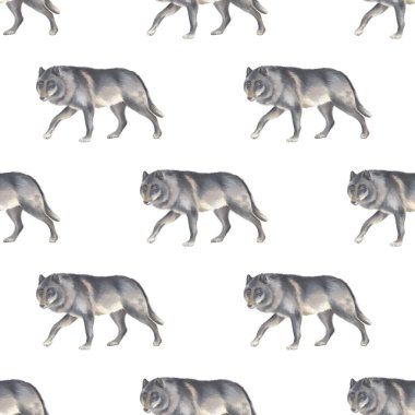 Kurt. Tekstil ve ambalaj kağıdı için beyaz zemin üzerinde suluboya desensiz desen. Vahşi hayvanlarla tatlı suluboya çizimler.