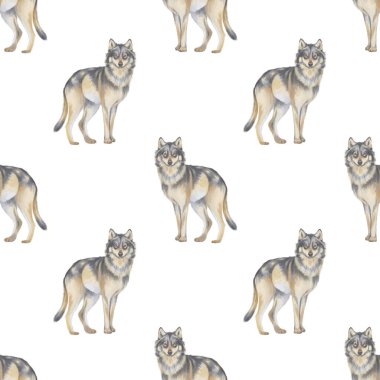 Kurt. Tekstil ve ambalaj kağıdı için beyaz zemin üzerinde suluboya desensiz desen. Vahşi hayvanlarla tatlı suluboya çizimler.