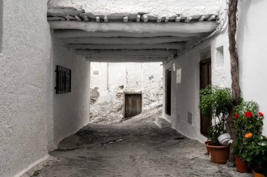 Pampaneira köyünün Alpujarra Bölgesi 'ndeki tipik beyaz evleri ve bitkileriyle caddesi. Granada, Endülüs, İspanya