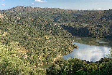 Salamanca 'daki (Douro vadileri) kayalıklara varır.