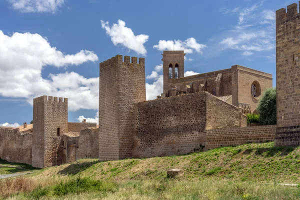 Vista Las Murallas Iglesia Del Hermoso Pueblo Artajona Navarra España — Foto de Stock