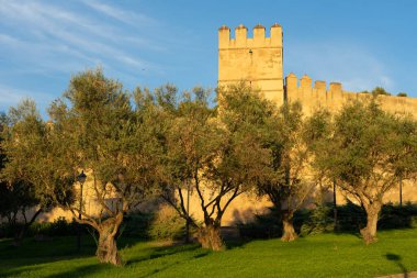Güneşli bir günde Badajoz Alcazaba Kalesi 'nin duvarları. Önünde zeytin ağaçları olan bir bahçe, Extremadura, İspanya