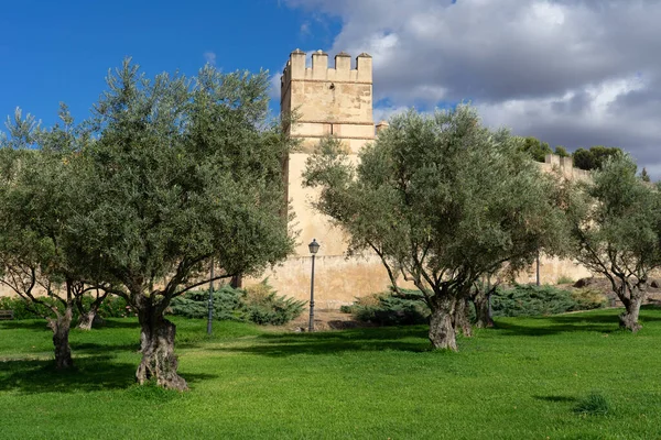 Güneşli bir günde Badajoz Alcazaba Kalesi 'nin duvarları. Önünde zeytin ağaçları olan bir bahçe, Extremadura, İspanya