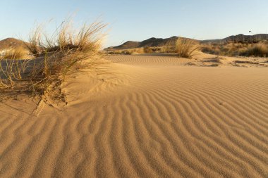 Dunes in Los Genoveses beach at sunset in the Gata Cape Natural Park coast. Almera, Andalucia, Spain.