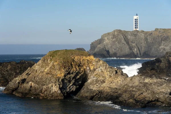 西班牙Meiras Valdovino的Punta Frouxeira灯塔 日落时位于加利西亚Rias Altas旅游区的悬崖上 — 图库照片