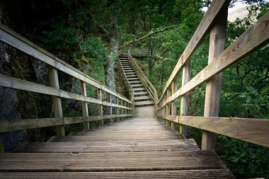 Ribeira Sacra, Ourense, Galiçya, İspanya 'daki Mao nehrinin kanyonundaki tahta patika.