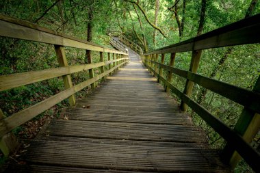 Ribeira Sacra, Ourense, Galiçya, İspanya 'daki Mao nehrinin kanyonundaki tahta patika.