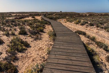 Güneşli bir günde Portekiz 'in Algarve bölgesindeki Culatra adasındaki Farol plajına giden tahta patika..