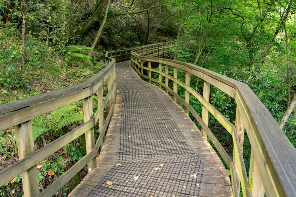 stock image Wooden footpath in the canyon of the river Mao in the Ribeira Sacra, Ourense, Galicia, Spain