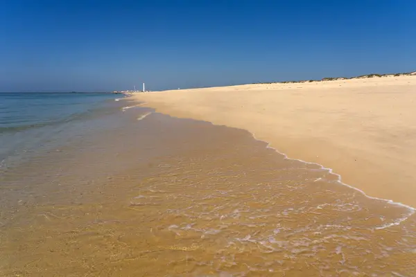 Praia Idílica Ilha Culatra Região Algarvia Portugal Com Famoso Farol Imagem De Stock