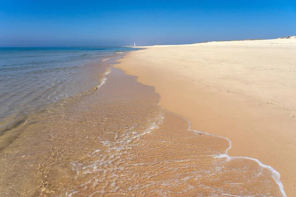 Praia Idílica Ilha Culatra Região Algarvia Portugal Com Famoso Farol Imagens Royalty-Free