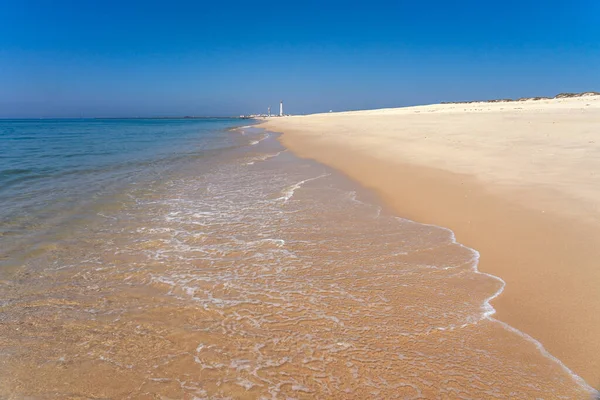 Praia Idílica Ilha Culatra Região Algarvia Portugal Com Famoso Farol Imagem De Stock