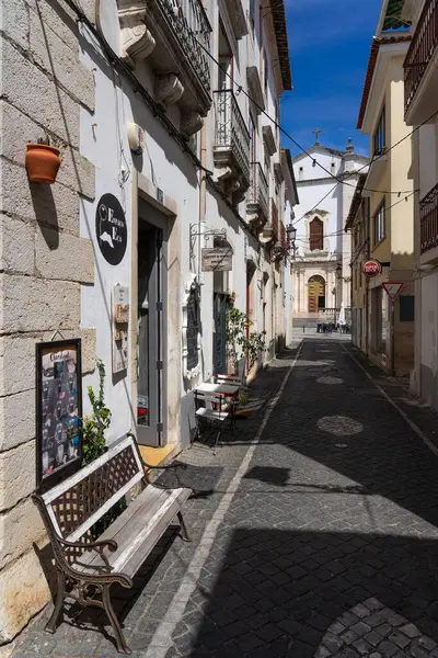 LEIRIA, PORTUGAL - 27 AĞUSTOS 2023: Güneşli bir günde kaleden beri Leiria şehrinin havadan görünüşü. Portekiz.