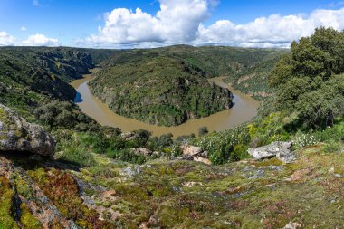 Dupero Nehri 'nin Meander' i, Arribes del Duero 'nun doğal parkında Pinilla de Fermoselle, Zamora, İspanya.