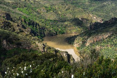 Dupero Nehri 'nin Meander' i, Arribes del Duero 'nun doğal parkında Pinilla de Fermoselle, Zamora, İspanya.