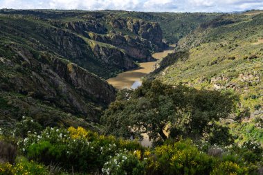 Dupero Nehri 'nin Meander' i, Arribes del Duero 'nun doğal parkında Pinilla de Fermoselle, Zamora, İspanya.