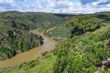 Dupero Nehri 'nin Meander' i, Arribes del Duero 'nun doğal parkında Pinilla de Fermoselle, Zamora, İspanya.