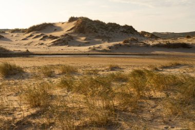 Güneşli bir günde gün batımında Galiçya sahilinde kum tepeleri olan Valdovino plajı. A Coruna, İspanya.