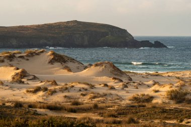 Güneşli bir günde gün batımında Galiçya sahilinde kum tepeleri olan Valdovino plajı. A Coruna, İspanya.