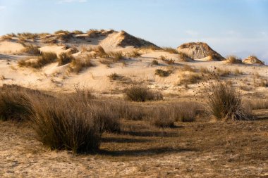 Valdovino beach with its sand dunes in the coast of Galicia at sunset in a sunny day. A Coruna, Spain. clipart