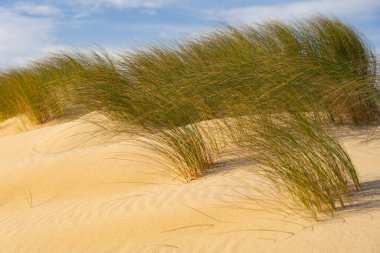 Güneşli bir günde gün batımında Galiçya sahilindeki Valdovino plajında kum tepeleri. A Coruna, İspanya.