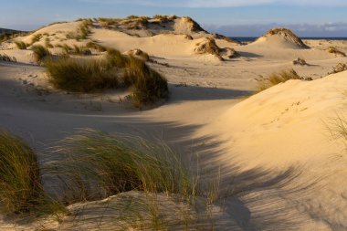 Güneşli bir günde gün batımında Galiçya sahilinde kum tepeleri olan Valdovino plajı. A Coruna, İspanya.