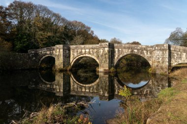 Brandomil Roma taş köprüsü İspanya 'nın Zas kentindeki suya yansıdı.