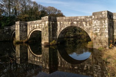 Brandomil Roma taş köprüsü İspanya 'nın Zas kentindeki suya yansıdı.