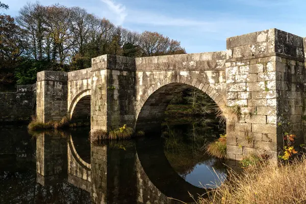 Brandomil Roma taş köprüsü İspanya 'nın Zas kentindeki suya yansıdı.