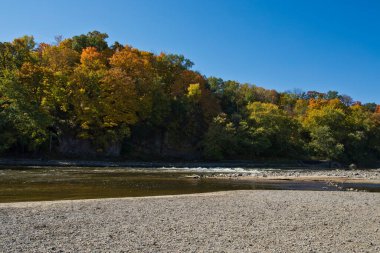 Iowa 'da bir sonbahar günü Cedar Nehri' nin kumsalında sonbahar ağaçları. 