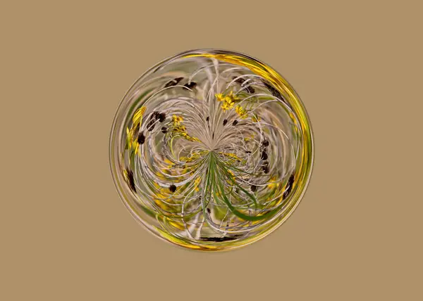 Desenho Abstrato Flores Silvestres Amarelas Círculo Isolado Fundo Bege — Fotografia de Stock