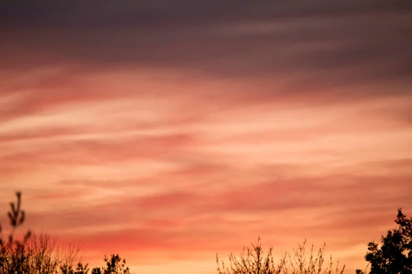 stock image Colorful sunset sky with tree silhouettes on a fall evening in Iowa. 