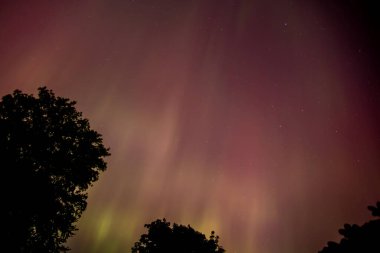 Iowa 'nın üzerinde parlak pembe ve yeşil kuzey ışıkları ve arka planda ağaçlar ve yıldızlar var.. 