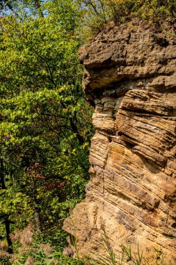 Illinois 'de bir yaz gününde ormanda kum taşı oluşumu. 